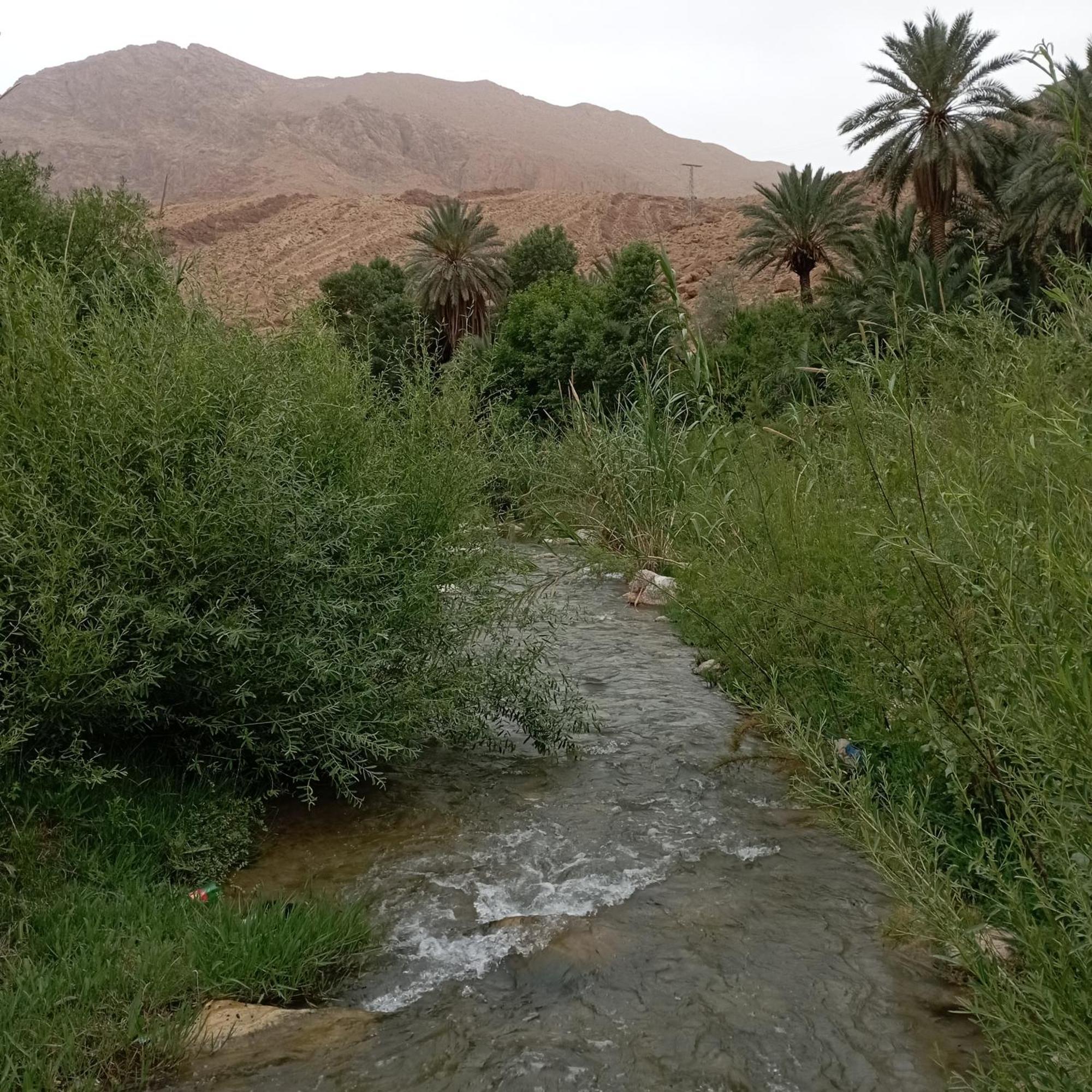 Riad La Fleur Ait Baha Ruang foto